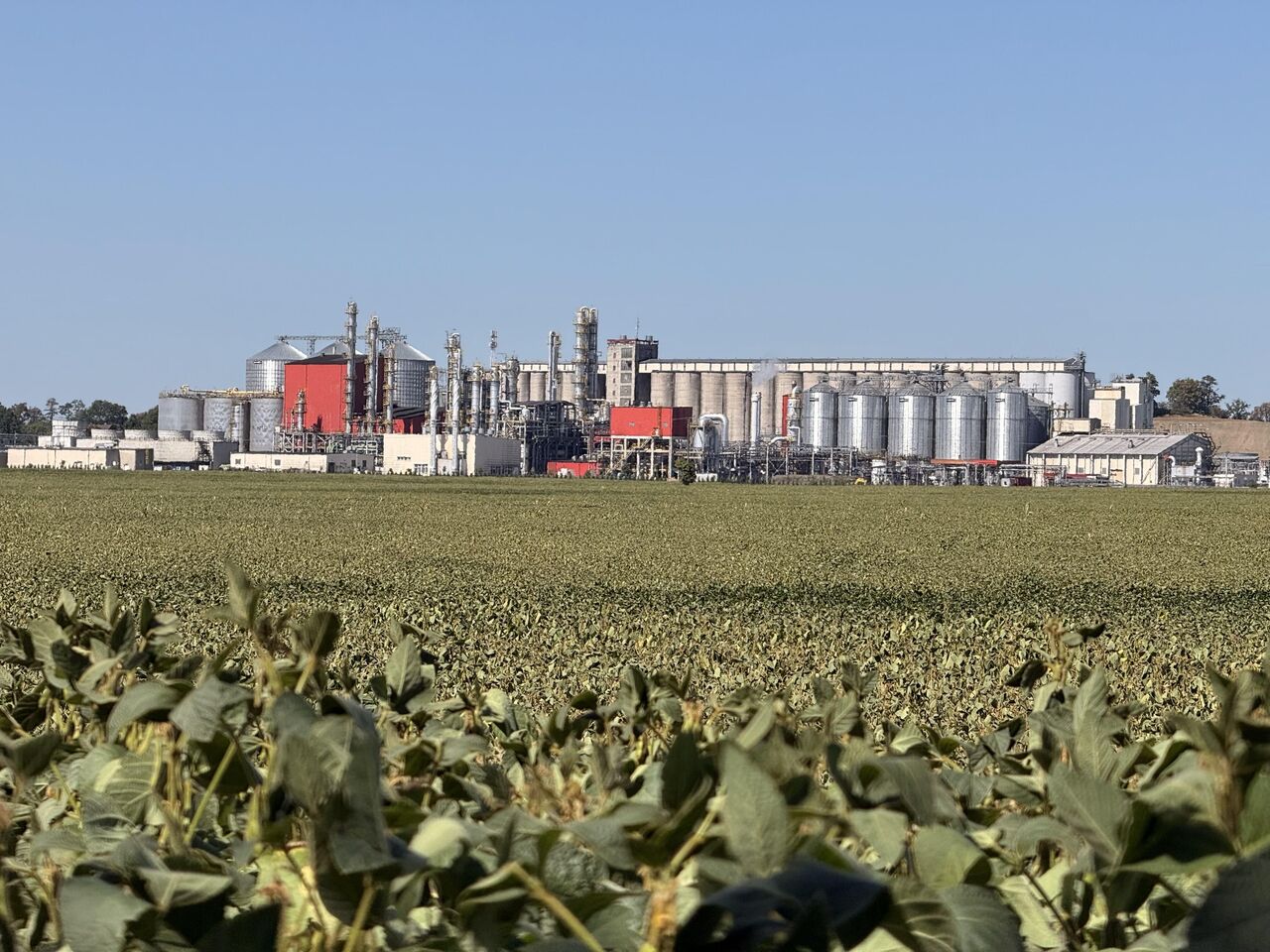 An ethanol production plant behind a soybean field.