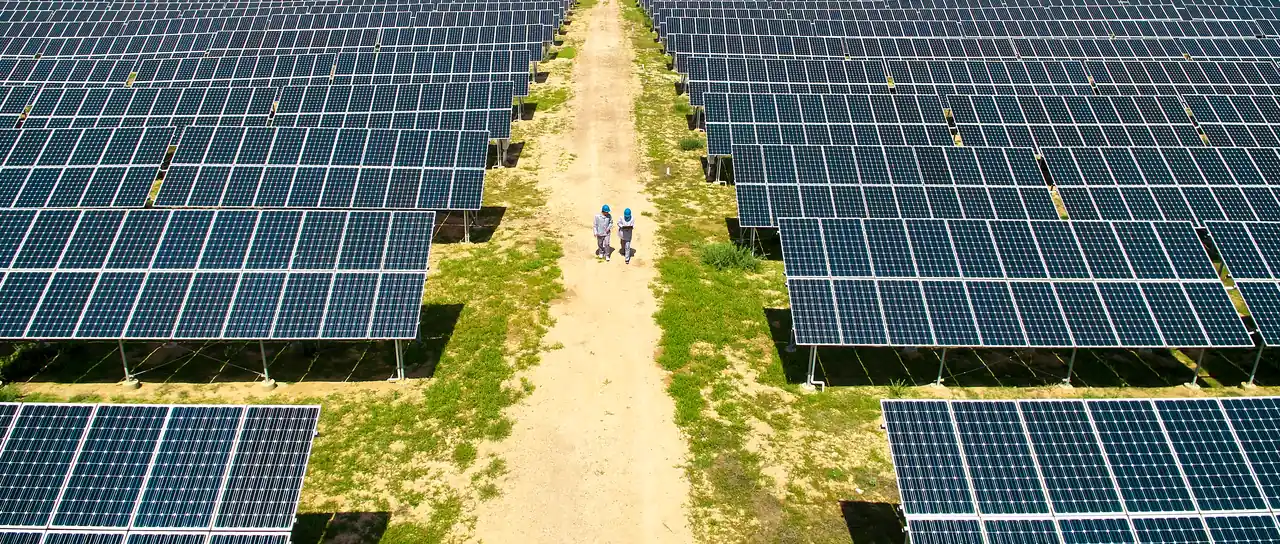 Workers walking between rows of solar panels