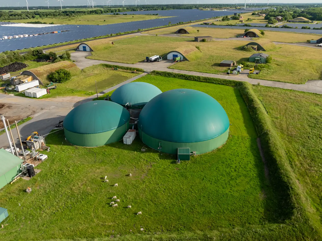 Renewable natural gas and biofuels facility